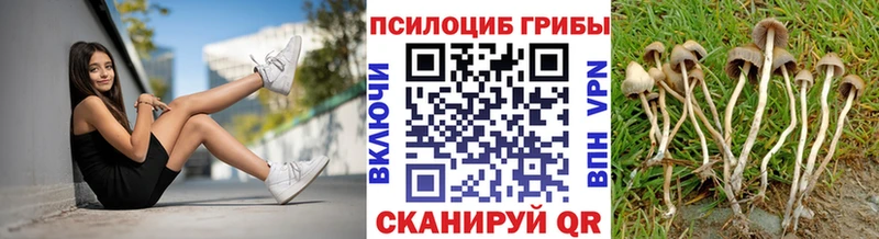 Галлюциногенные грибы прущие грибы  купить наркотики цена  Ладушкин 